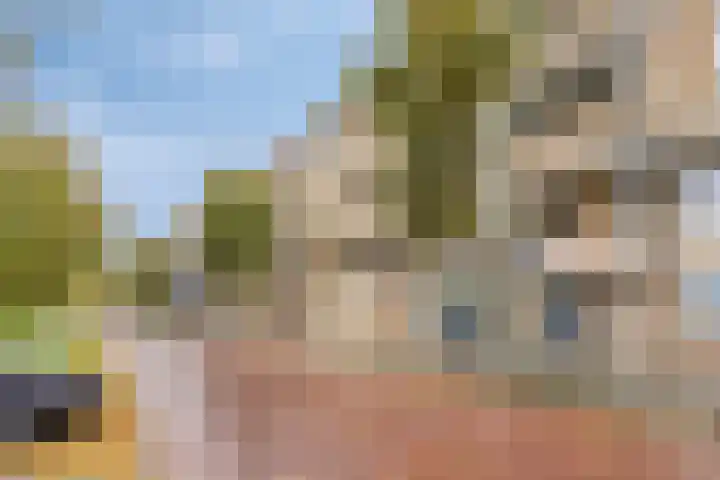 Brinklaan 240 Apeldoorn thumbnail 23