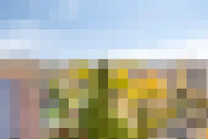 Brinklaan 240 Apeldoorn thumbnail 24