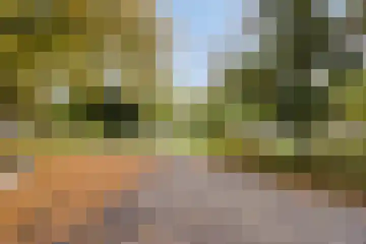 Brinklaan 240 Apeldoorn thumbnail 27