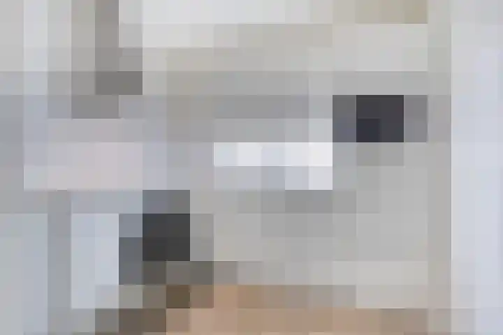 Brinklaan 240 Apeldoorn thumbnail 4