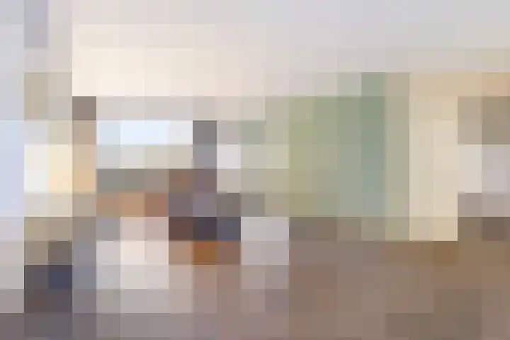 Brinklaan 240 Apeldoorn thumbnail 8
