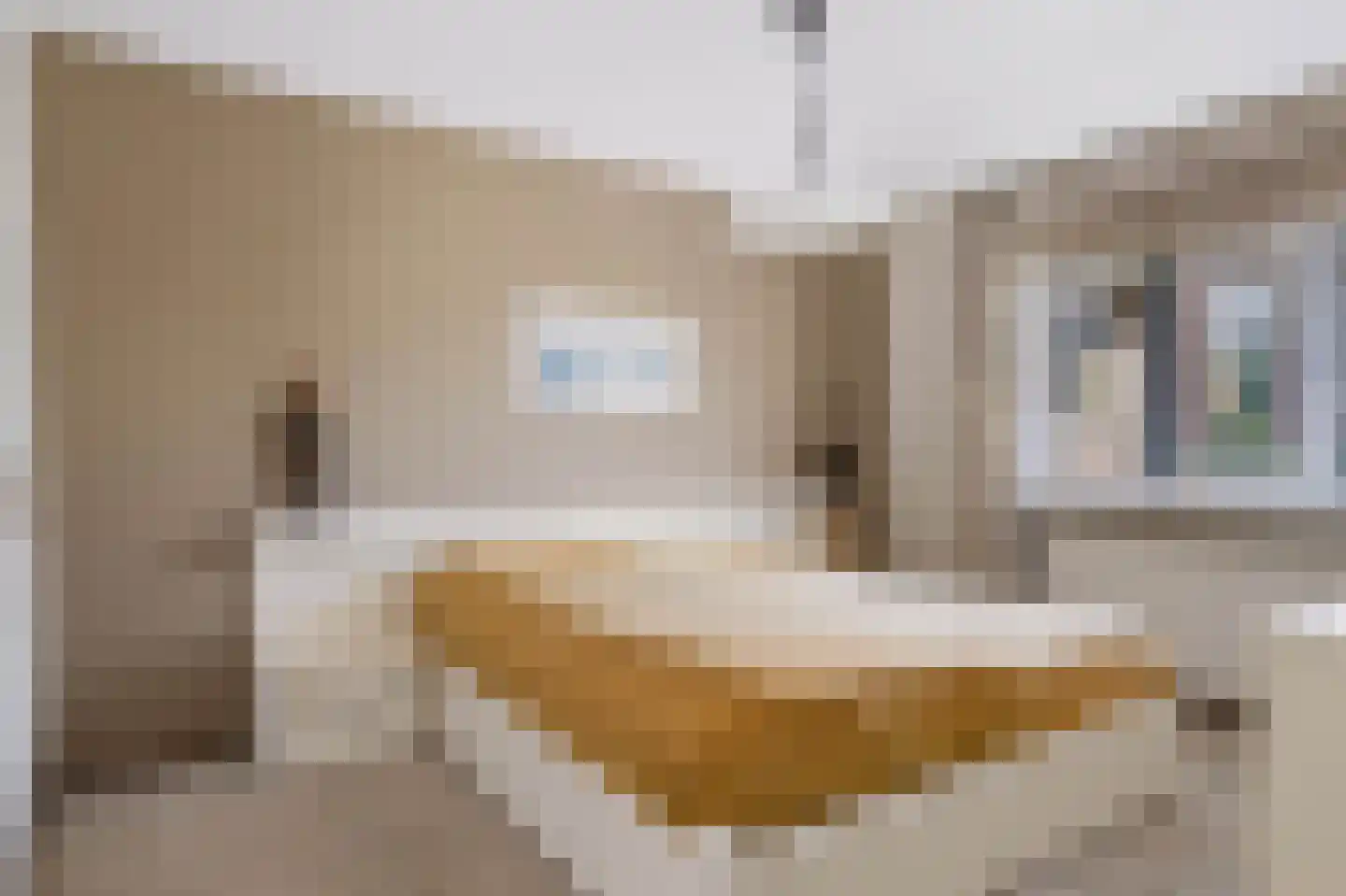Brinklaan 244 Apeldoorn thumbnail 26