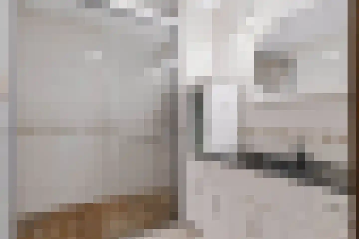 Brinklaan 244 Apeldoorn thumbnail 28