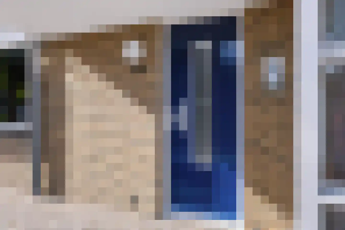Brinklaan 244 Apeldoorn thumbnail 6