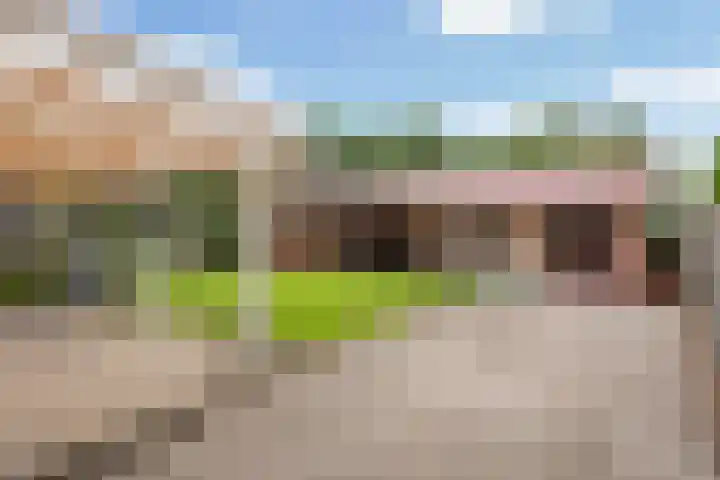 Brinklaan 26 Westerbork thumbnail 31
