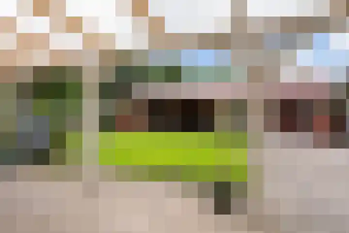 Brinklaan 26 Westerbork thumbnail 34
