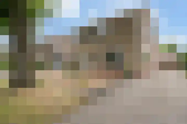 Brinklaan 26 Westerbork thumbnail 43