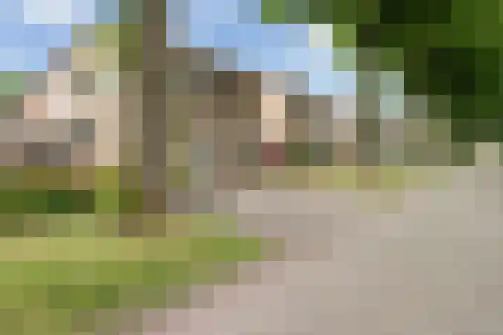 Brinklaan 26 Westerbork thumbnail 45