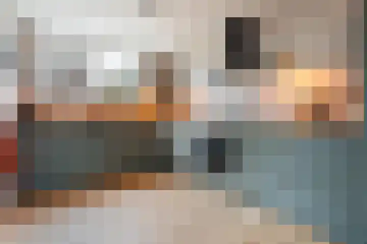 Brinklaan 26 Westerbork thumbnail 7