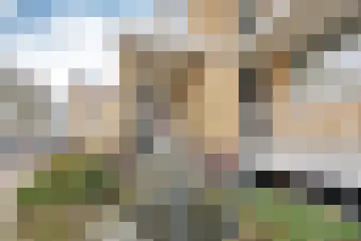 Brinklaan 289 Bussum thumbnail 13