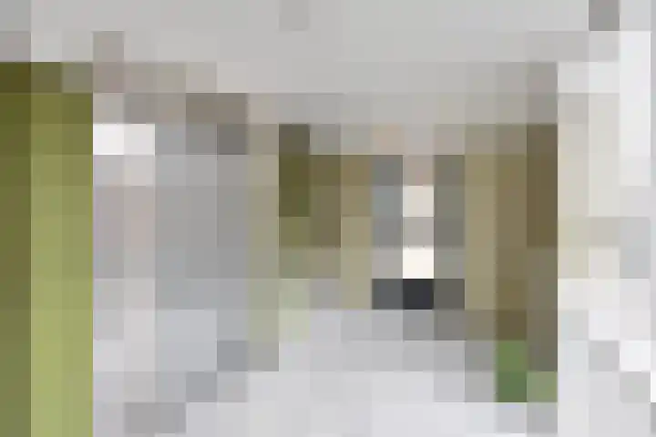 Brinklaan 289 Bussum thumbnail 14