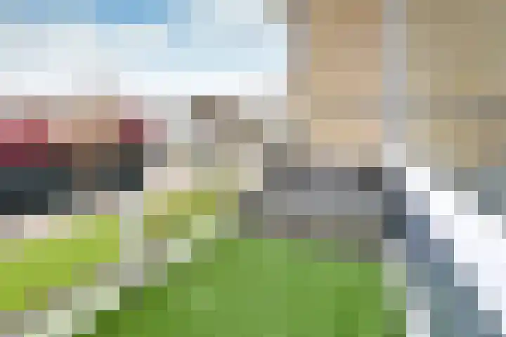 Brinklaan 289 Bussum thumbnail 6