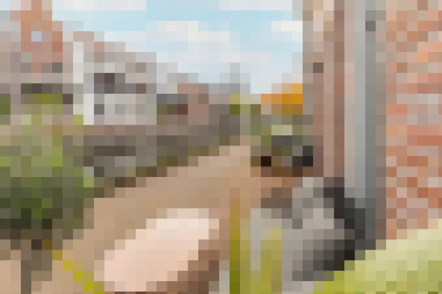 Brinklaan 29 D Bussum thumbnail 31
