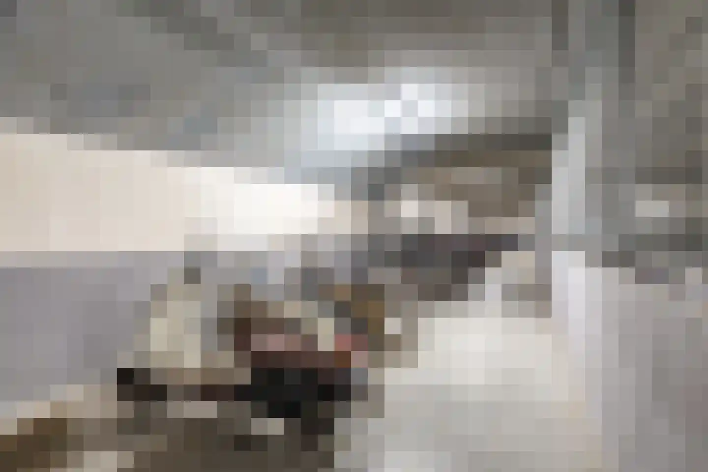 Brinklaan 29 D Bussum thumbnail 43