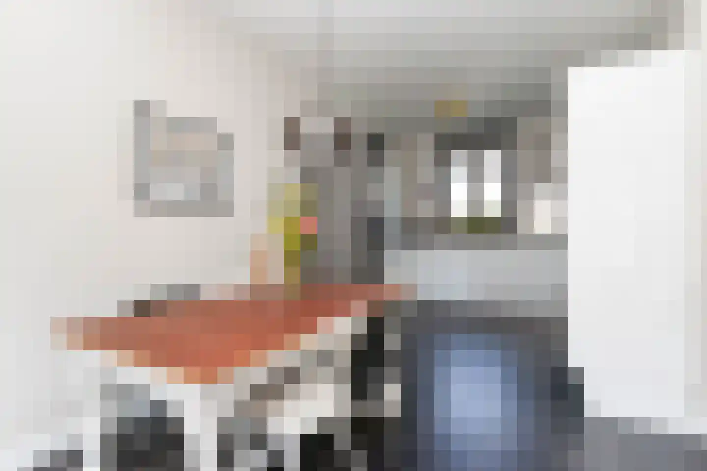 Brinklaan 29 E Bussum thumbnail 14