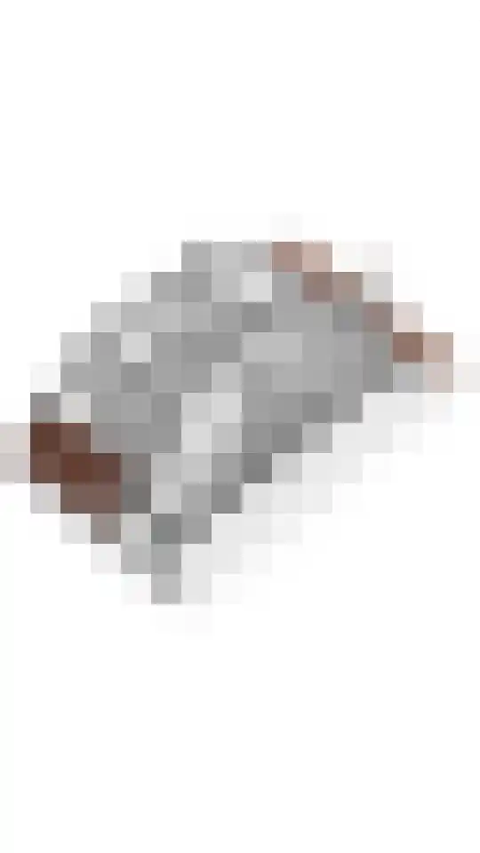Brinklaan 29 E Bussum thumbnail 33