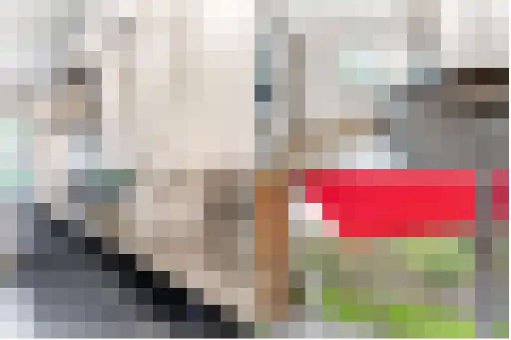 Brinklaan 291 Bussum thumbnail 16