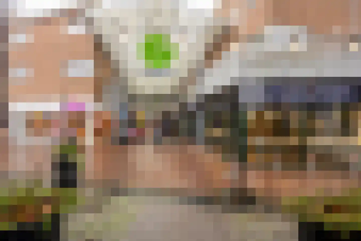 Brinklaan 3 A Epe thumbnail 23