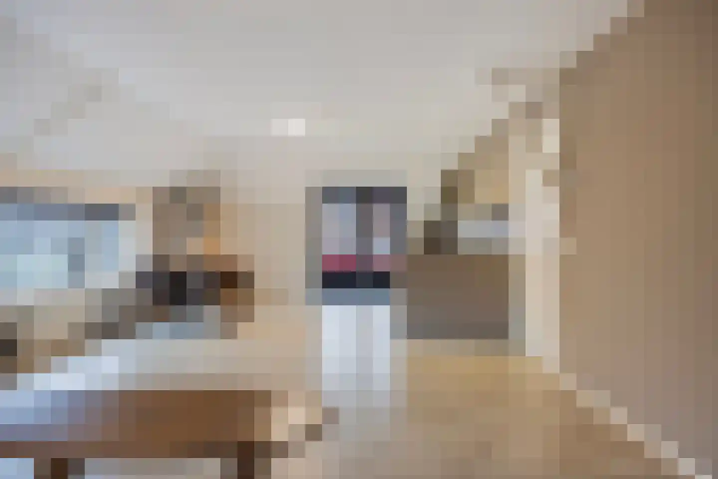 Brinklaan 3 A Epe thumbnail 6