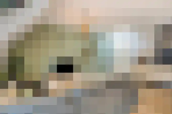 Brinklaan 3 B Epe thumbnail 11