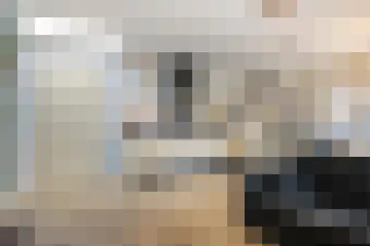 Brinklaan 3 B Epe thumbnail 12