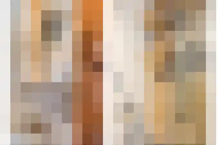 Brinklaan 3 B Epe thumbnail 20