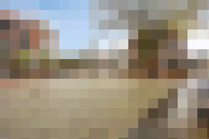 Brinklaan 3 B Epe thumbnail 22