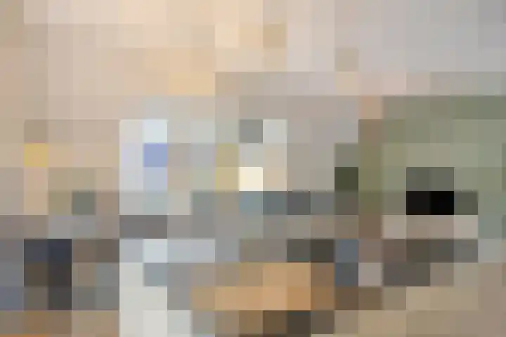 Brinklaan 3 B Epe thumbnail 8