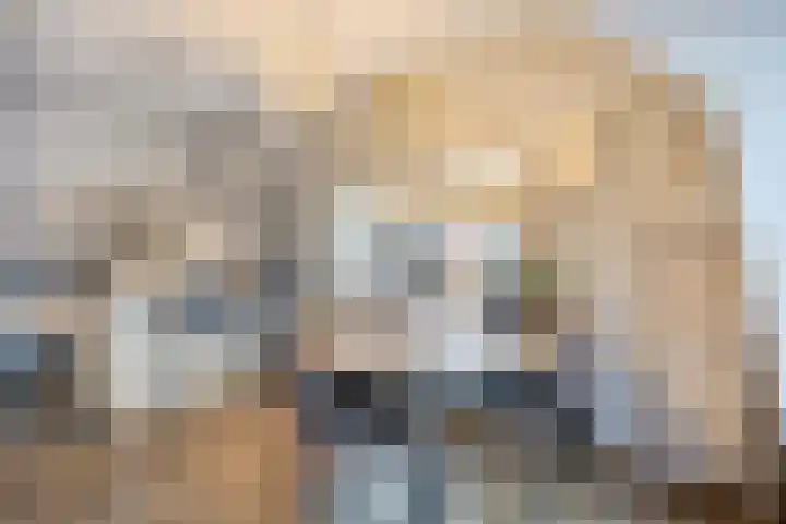 Brinklaan 3 B Epe thumbnail 9