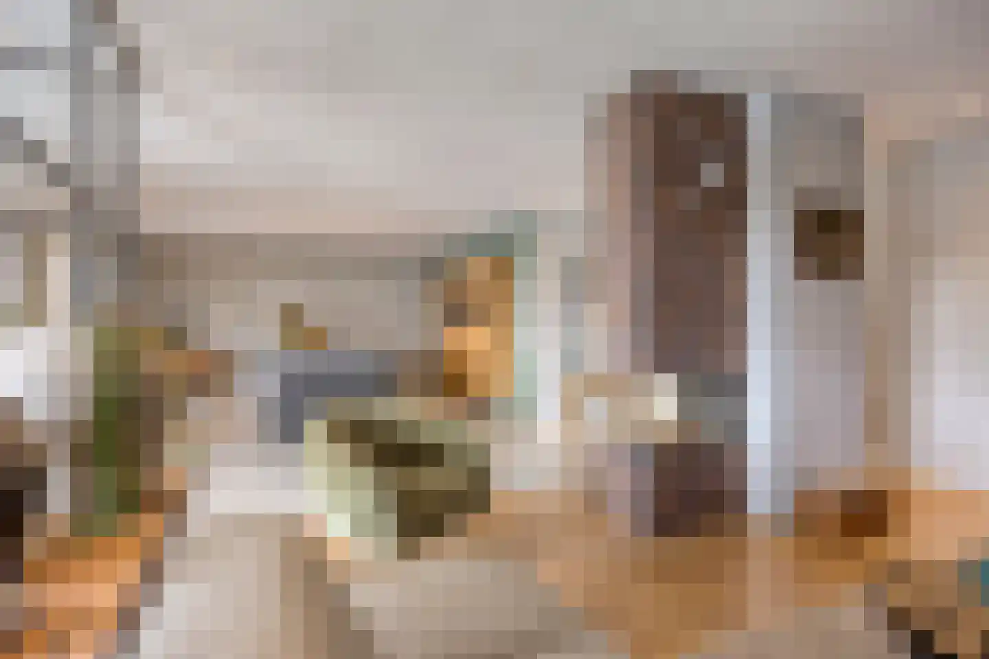 Brinklaan 3 Epe thumbnail 10