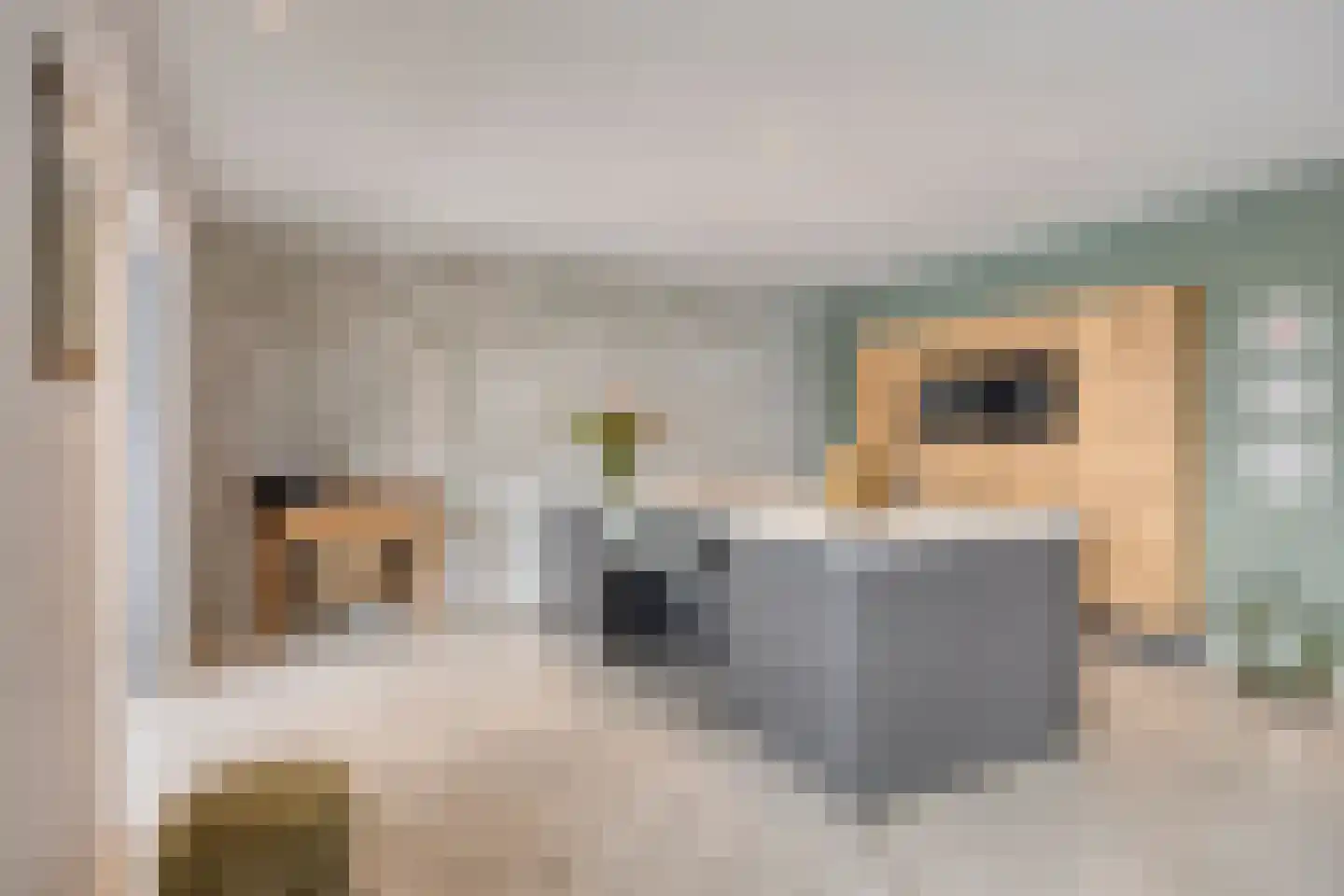 Brinklaan 3 Epe thumbnail 13
