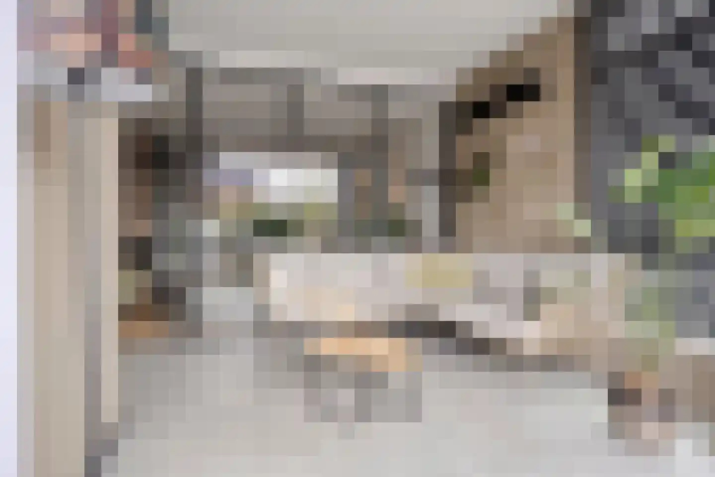 Brinklaan 3 Epe thumbnail 25