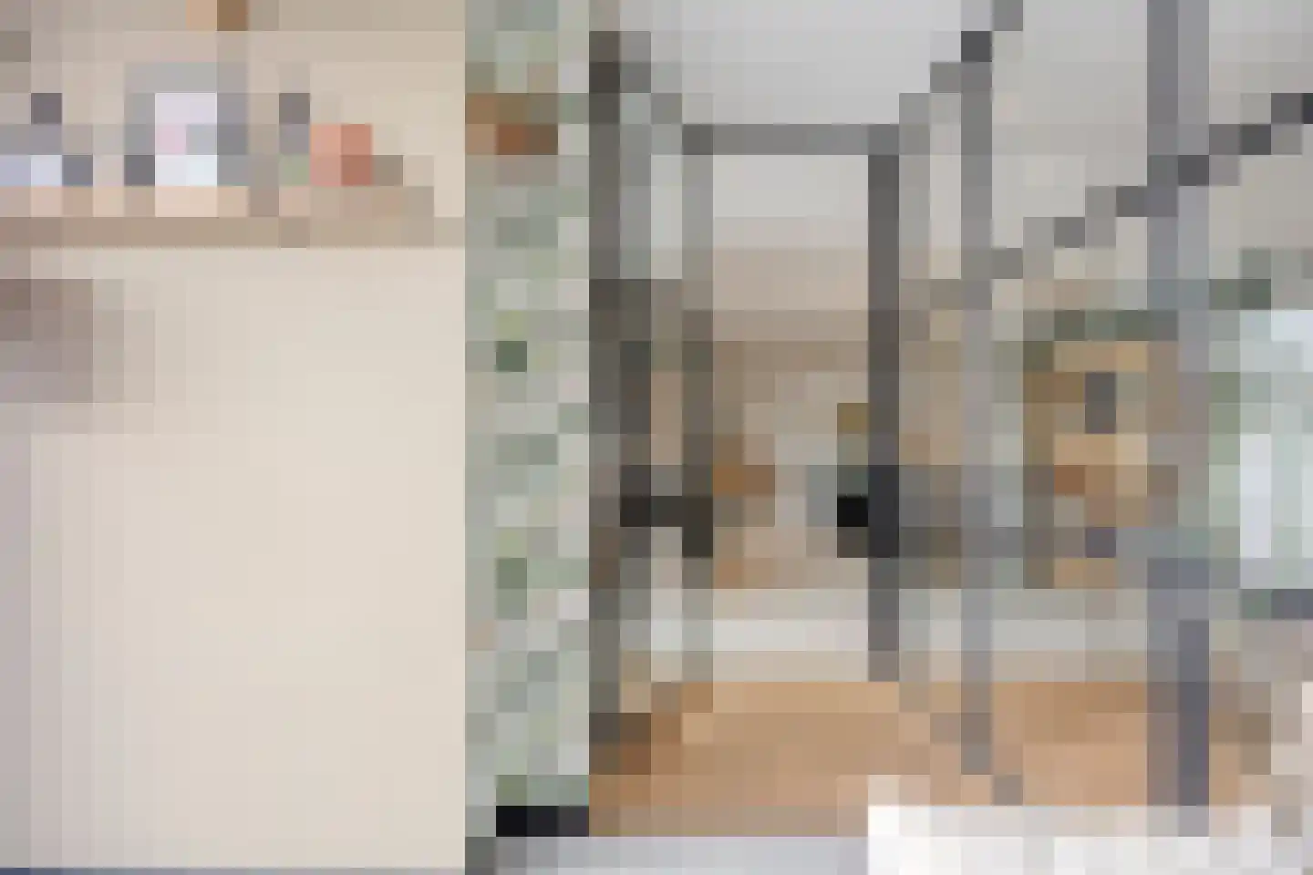 Brinklaan 3 Epe thumbnail 26