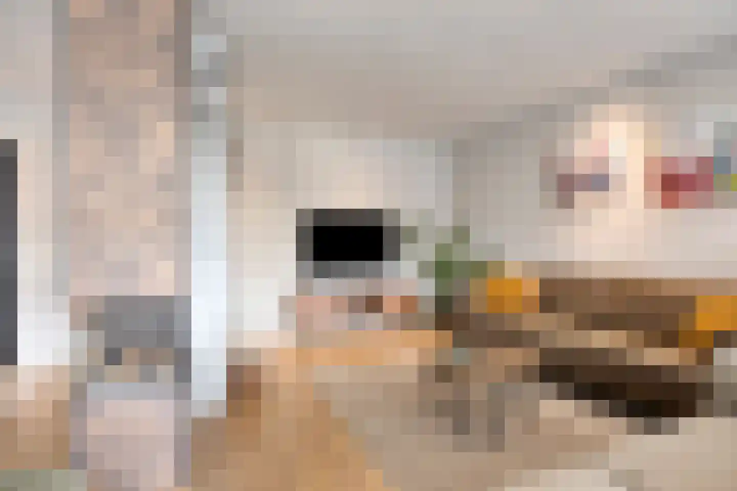 Brinklaan 3 Epe thumbnail 9