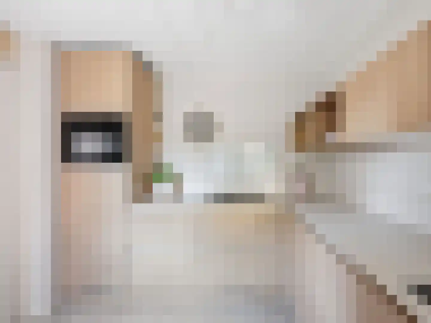 Brinklaan 30 Ruurlo thumbnail 12