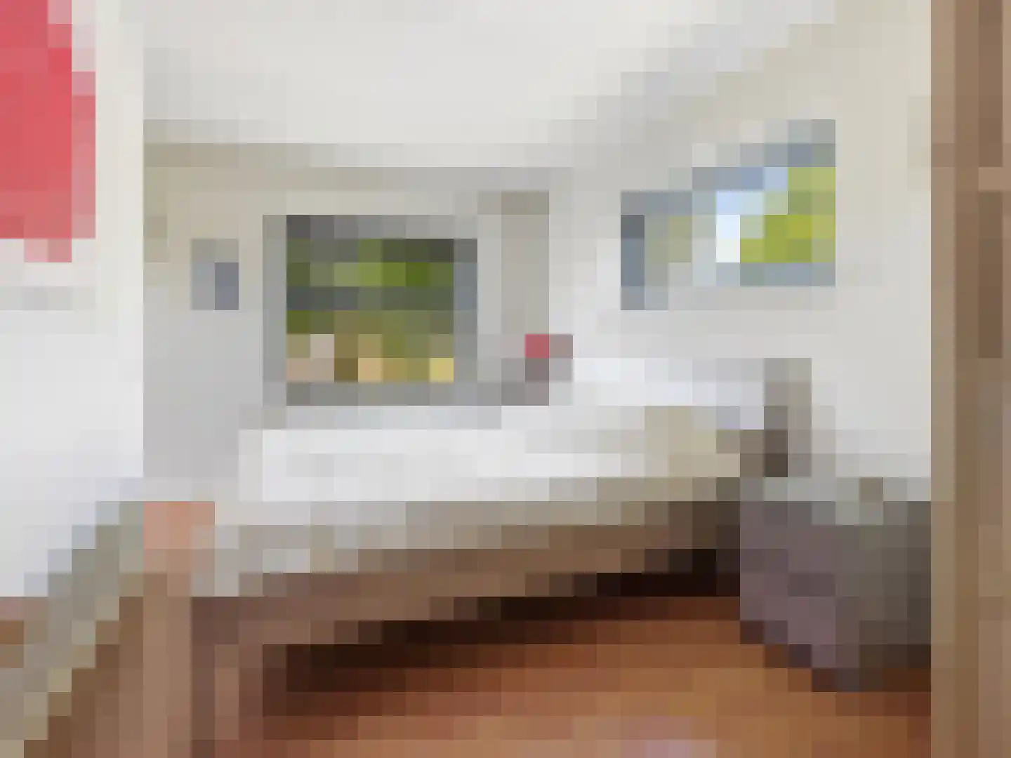 Brinklaan 30 Ruurlo thumbnail 19