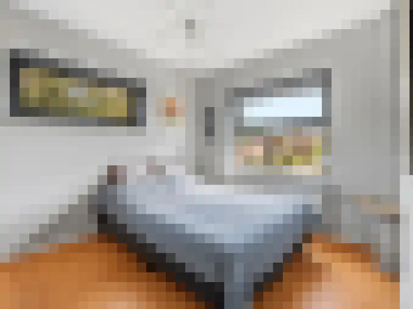 Brinklaan 30 Ruurlo thumbnail 23