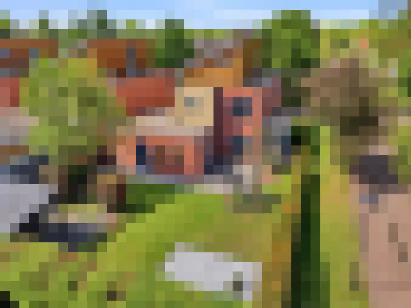 Brinklaan 30 Ruurlo thumbnail 36