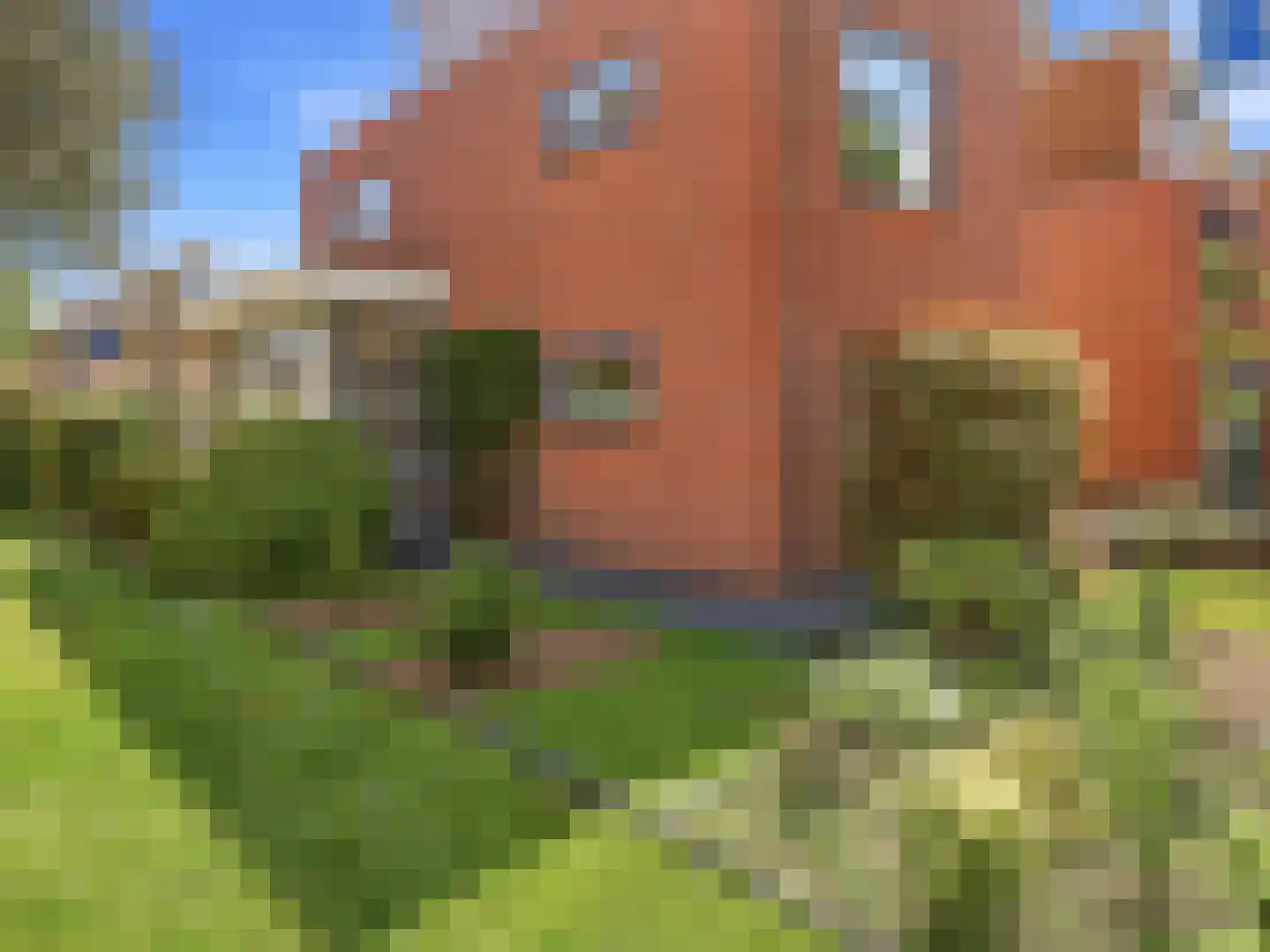Brinklaan 30 Ruurlo thumbnail 38