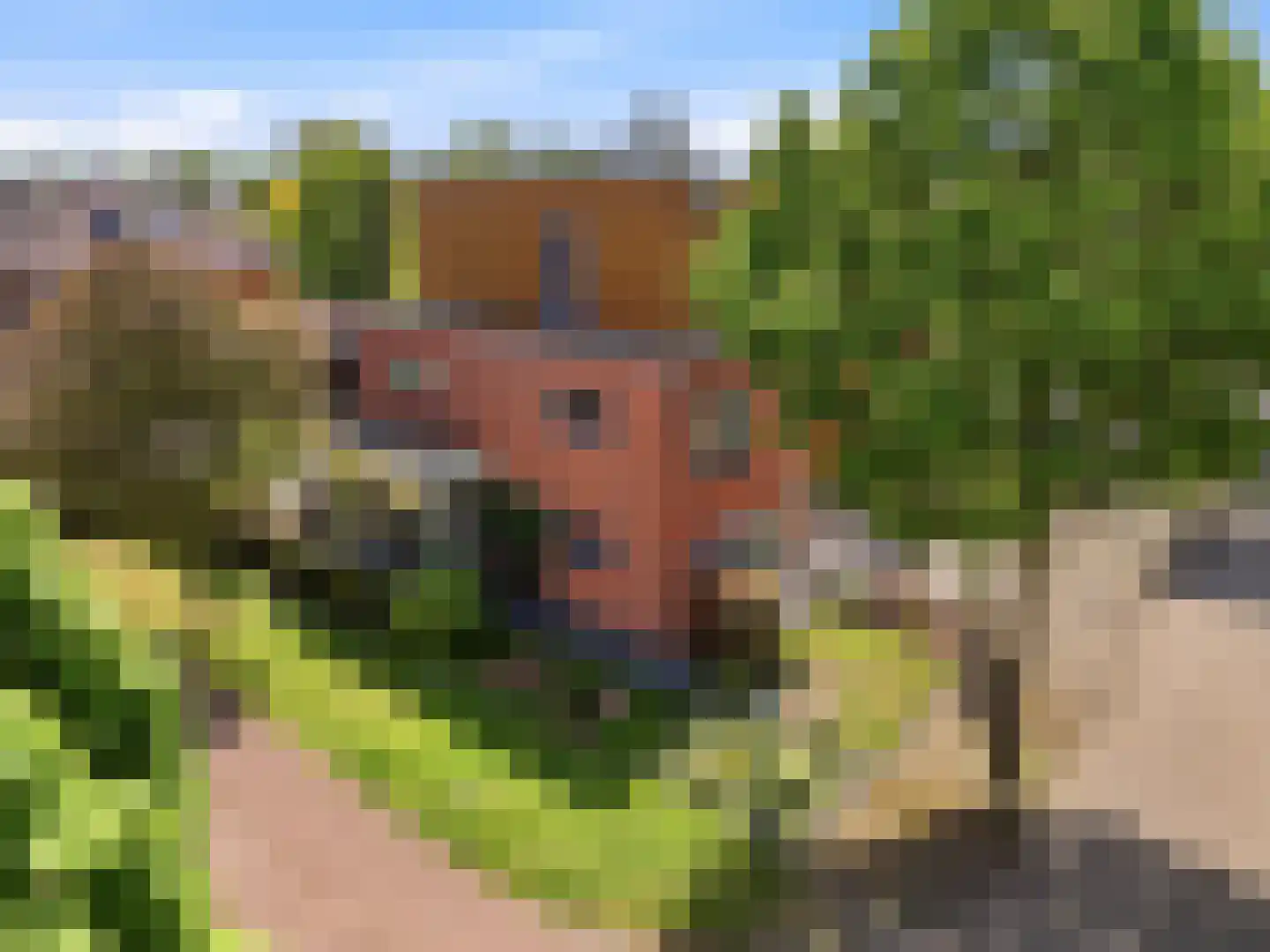 Brinklaan 30 Ruurlo thumbnail 39