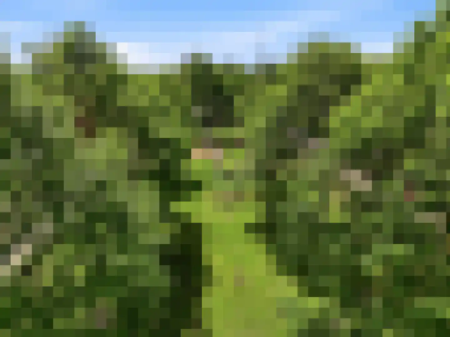 Brinklaan 30 Ruurlo thumbnail 45