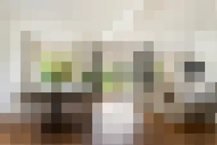 Brinklaan 32 Epe thumbnail 10
