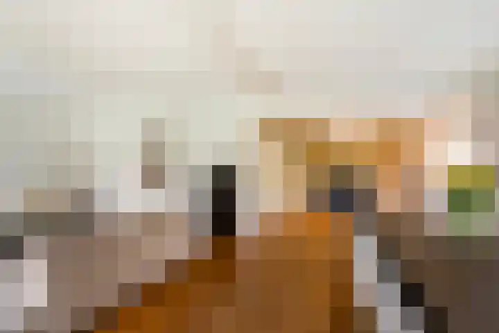 Brinklaan 32 Epe thumbnail 13