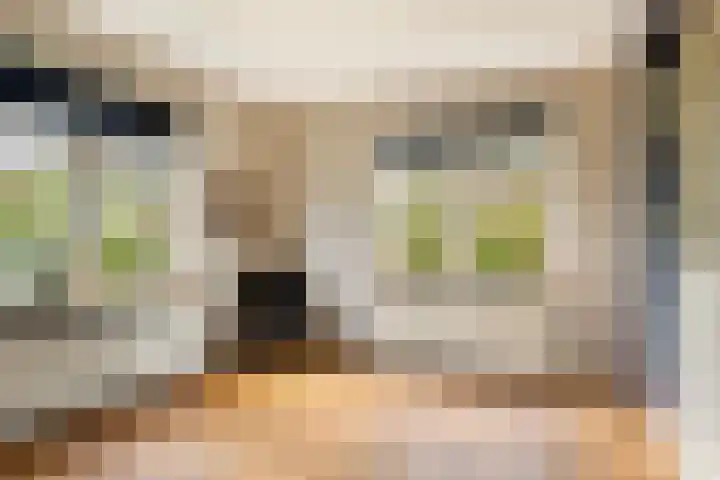 Brinklaan 32 Epe thumbnail 19