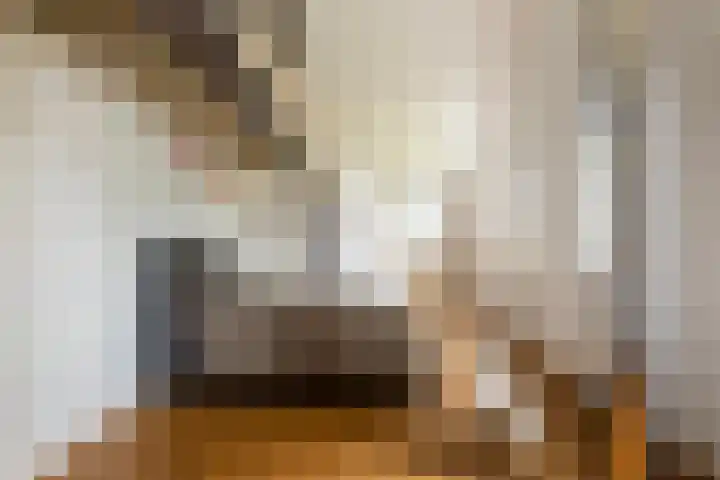 Brinklaan 32 Epe thumbnail 27