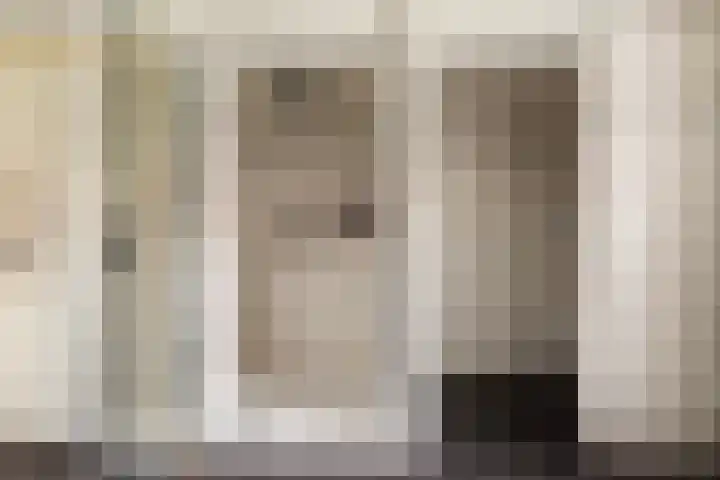Brinklaan 32 Epe thumbnail 36