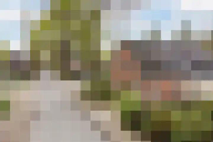 Brinklaan 32 Epe thumbnail 39