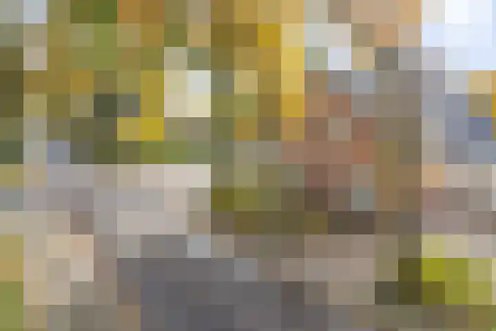 Brinklaan 32 Epe thumbnail 44