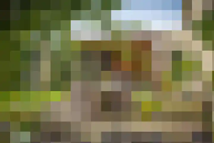 Brinklaan 32 Epe thumbnail 48