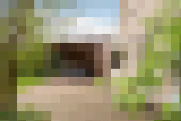 Brinklaan 32 Epe thumbnail 5